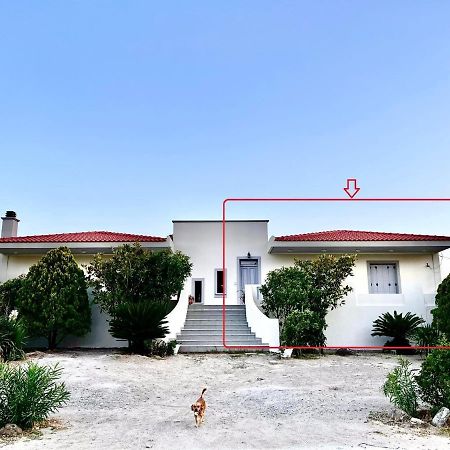 Evgatisbeach Loyskoy 2 Myrina Exterior photo